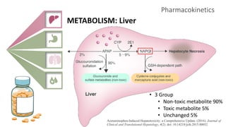 Pharmacokinetics
METABOLISM: Liver
• 3 Group
• Non-toxic metabolite 90%
• Toxic metabolite 5%
• Unchanged 5%
Acetaminophen-Induced Hepatotoxicity: a Comprehensive Update. (2016). Journal of
Clinical and Translational Hepatology, 4(2). doi: 10.14218/jcth.2015.00052
 