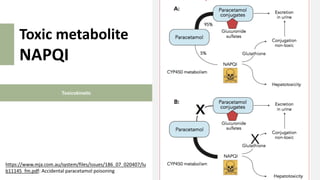 Toxicokinetic
Toxic metabolite
NAPQI
https://www.mja.com.au/system/files/issues/186_07_020407/lu
b11145_fm.pdf: Accidental paracetamol poisoning
 