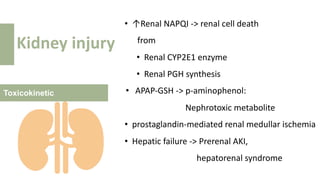 Toxicokinetic
Kidney injury
• ↑Renal NAPQI -> renal cell death
from
• Renal CYP2E1 enzyme
• Renal PGH synthesis
• APAP-GSH -> p-aminophenol:
Nephrotoxic metabolite
• prostaglandin-mediated renal medullar ischemia
• Hepatic failure -> Prerenal AKI,
hepatorenal syndrome
 