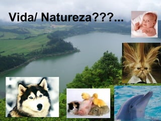 Vida/ Natureza???... 