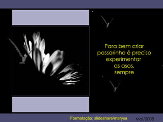 Para bem criar passarinho é preciso experimentar  as asas, sempre Mai/2008 Formatação: slideshare/marysa 