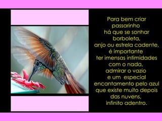 Para bem criar passarinho  há que se sonhar borboleta, anjo ou estrela cadente, é importante  ter imensas intimidades com o nada,  admirar o vazio  e um  especial encantamento pelo azul que existe muito depois das nuvens,  infinito adentro. 