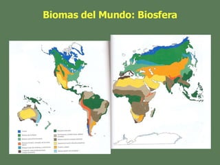 Biomas del Mundo: Biosfera 