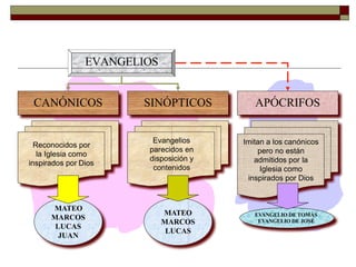 EVANGELIOS
CANÓNICOS
Reconocidos por
la Iglesia como
inspirados por Dios
Evangelios
parecidos en
disposición y
contenidos
Imitan a los canónicos
pero no están
admitidos por la
Iglesia como
inspirados por Dios
SINÓPTICOS APÓCRIFOS
MATEO
MARCOS
LUCAS
JUAN
MATEO
MARCOS
LUCAS
EVANGELIO DE TOMÁS
EVANGELIO DE JOSÉ
 