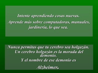 Intente aprendiendo cosas nuevas.  Aprende más sobre computadoras, manuales, jardinería, lo que sea.  Nunca permitas que tu cerebro sea holgazán.  Un cerebro holgazán es la morada del demonio.  Y el nombre de ese demonio es  Alzheimer .  