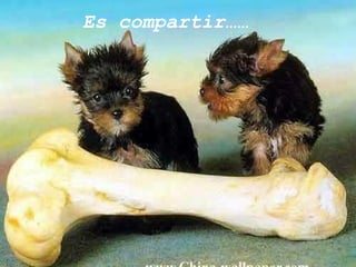 Es compartir…… 