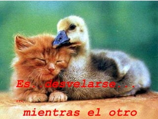 . Es..desvelarse...… mientras el otro duerme.... 