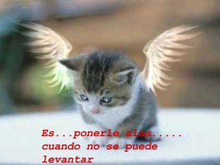 Es...ponerle alas..... cuando no se puede levantar 