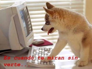 Es cuando te miran sin verte... y siendo sordo te escucha....