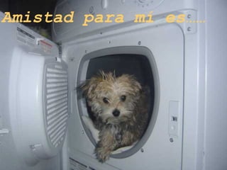 Amistad para mí es…… 