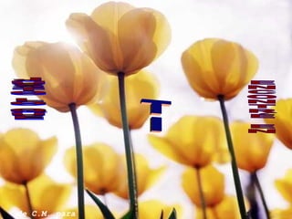 JUSTO LO QUE ENCONTRÉ EN TI de C.M. para U.L. 