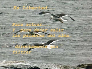 Pero cuando alguien hace algo bueno por nosotros, debemos grabarlo en piedra donde ningún viento pueda borrarlo. Es Libertad……. Para actuar….. Y para dejar salir las palabras del alma….. directamente sin filtrar