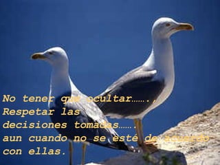 No tener que ocultar…….,  Respetar las decisiones tomadas……. aun cuando no se esté de acuerdo  con ellas. 