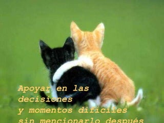 Apoyar en las decisiones  y momentos difíciles sin mencionarlo después 