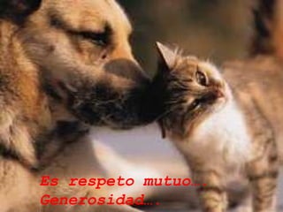 Es respeto mutuo…. Generosidad….