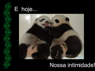 E  hoje... Nossa intimidade! 
