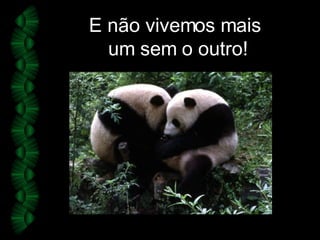 E não vivemos mais  um sem o outro! 