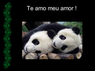 Te amo meu amor ! 