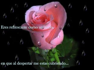 Eres refrescante como un rocío, en que al despertar me estas cubriendo... 