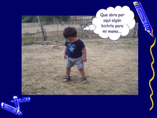 Que abra por aquí algún bichito para mi mama…. 