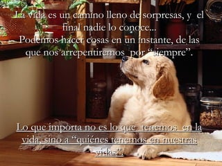 La vida es un camino lleno de sorpresas, y  el final nadie lo conoce... Podemos hacer cosas en un instante, de las que nos arrepentiremos  por “siempre”. Lo que importa no es lo que  tenemos  en la vida, sino a “quiénes tenemos en nuestras vidas”. 