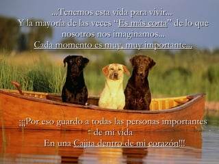 ...Tenemos esta vida para vivir...  Y la mayoría de las veces “ Es más corta ” de lo que nosotros nos imaginamos... Cada momento es muy, muy importante... ¡¡¡Por eso guardo a todas las personas importantes de mi vida  En una  Cajita dentro de mi corazón !!! 