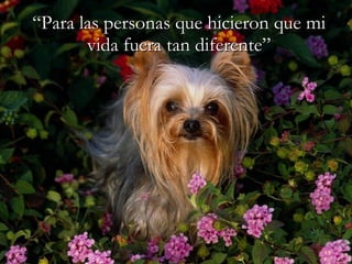 “ Para las personas que hicieron que mi vida fuera tan diferente” 