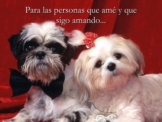 Para las personas que amé y que sigo amando... 