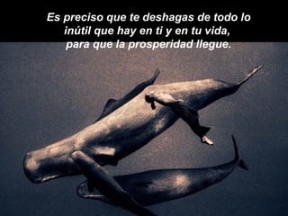 Es preciso que te deshagas de todo lo inútil que hay en ti y en tu vida,  para que la prosperidad llegue. 