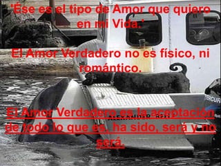 'Ése es el tipo de Amor que quiero en mi Vida.'El Amor Verdadero no es físico, ni romántico.El Amor Verdadero es la aceptación de todo lo que es, ha sido, será y no será.