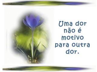 Uma dor
  não é
  motivo
para outra
   dor.
 