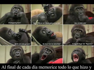 Al final de cada día memorice todo lo que hizo y  