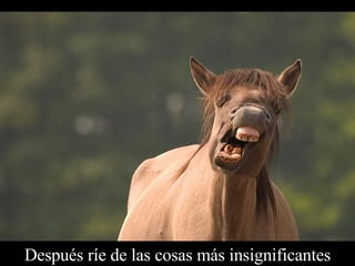 Después ríe de las cosas más insignificantes 