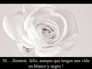 SI….Siéntete  feliz, aunque que tengas una vida en blanco y negro ! 