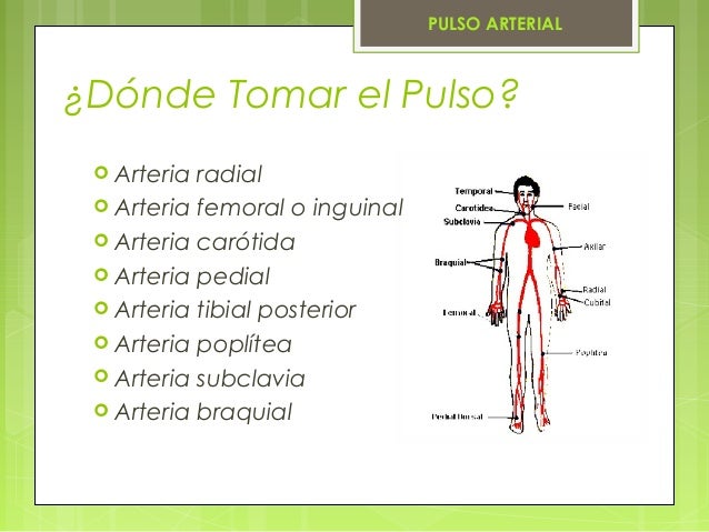 Signos Vitales