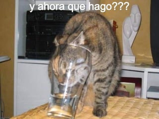 y ahora que hago??? 