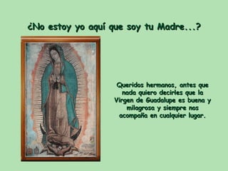 ¿No estoy yo aquí que soy tu Madre...? Queridos hermanos, antes que nada quiero decirles que la Virgen de Guadalupe es bue...
