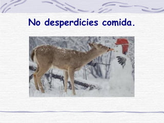 No desperdicies comida. 