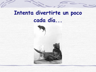 Intenta divertirte un poco cada día... 