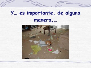 Y… es importante, de alguna manera,… 
