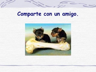 Comparte con un amigo. 