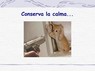 Conserva la calma... 