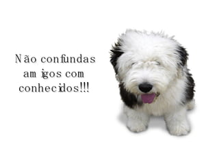 Não confundas amigos com conhecidos!!!   