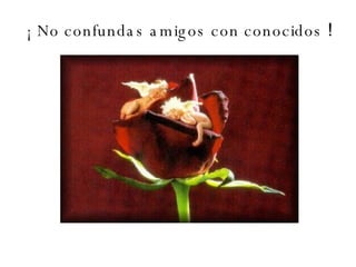 ¡ No confundas amigos con conocidos  ! 