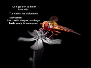 Tus hijos son tú mejor
inversión.
Tus nietos, los dividendos.
!Disfrútalos!
has corrido riesgos para llegar
hasta aquí y te lo mereces.
 