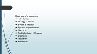 Road Map of presentation:
 Introduction
 Etiology of disease
 Source of infection
 Epidemiology of disease
 Life cycle
 Pathophysiology of disease
 Diagnosis
 Treatment
 Prevention
 