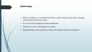 Epidemiology:
 NCC is endemic in sub-Saharan Africa, Latin America and Asia including
subcontinent India and china.
 It is one of the neglected tropical diseases.
 Disease is rare in developed countries.
 Epidemiology of the disease is also associated with poor sanitation.
 
