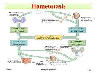 Homeostasis
4/5/2018 17Parathyroid Hormones
 