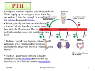 Parathyroid hormone regulates calcium levels in the
blood, largely by increasing the levels when they
are too low. It does this through its actions on
the kidneys, bones and intestine:
• Bones – parathyroid hormone stimulates the
release of calcium from large calcium stores in the
bones into the bloodstream. This increases bone
destruction and decreases the formation of new
bone.
• Kidneys – parathyroid hormone reduces loss of
calcium in urine. Parathyroid hormone also
stimulates the production of active vitamin D in the
kidneys.
• Intestine – parathyroid hormone indirectly
increases calcium absorption from food in the
intestine, via its effects on vitaminD metabolism.
4/5/2018 Parathyroid Hormones 5
 