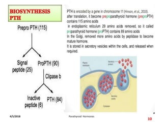 4/5/2018
10
Parathyroid Hormones
 